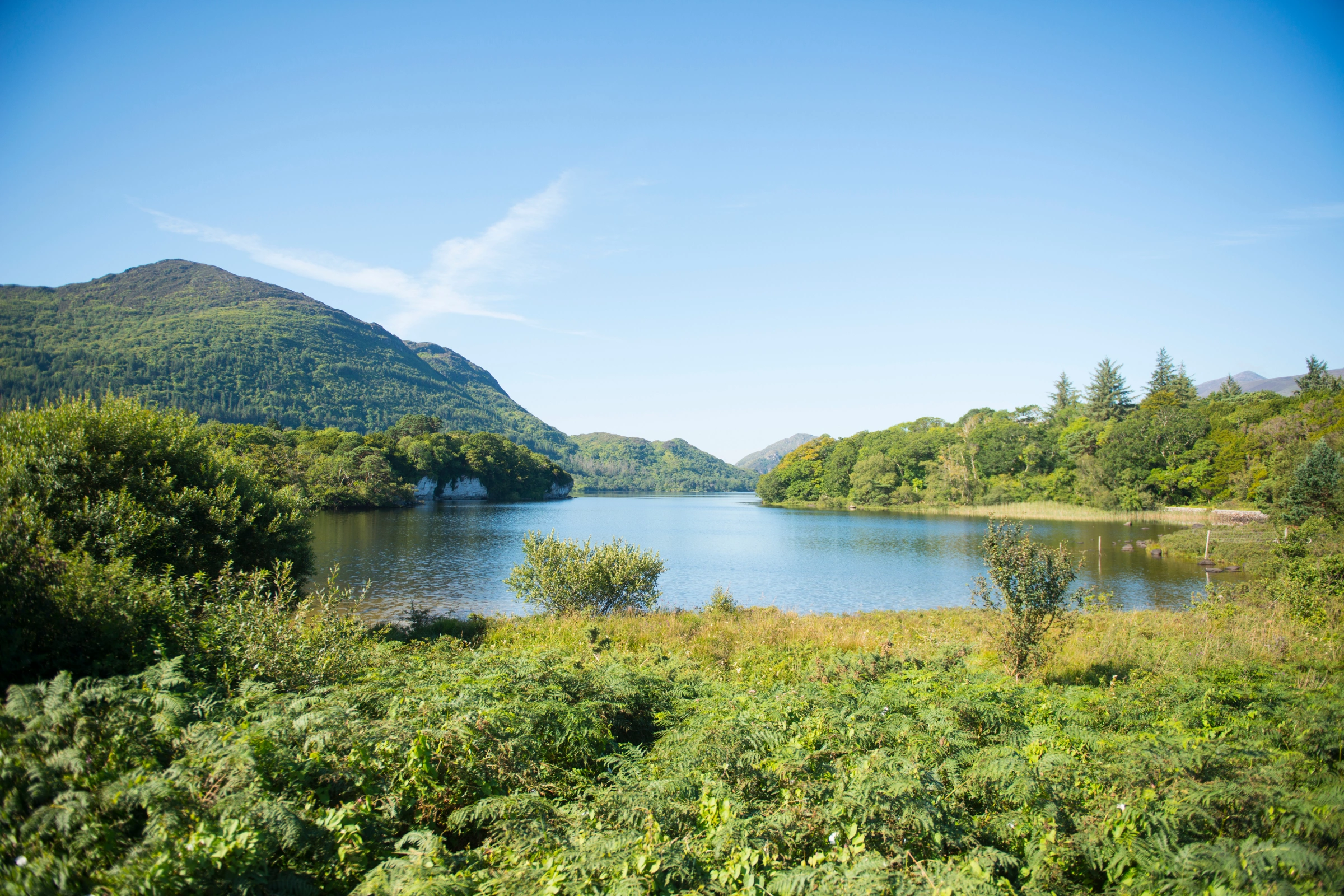 Killarney_National_Park[1].webp